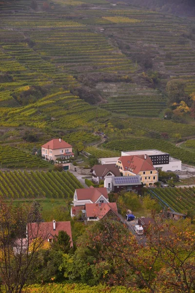 俯瞰村庄 斯皮茨 维也纳 奥地利 — 图库照片