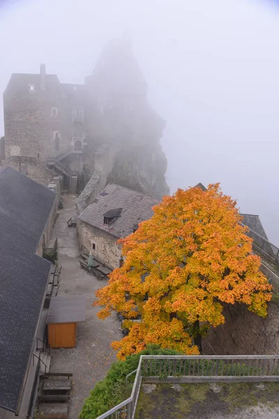 Высокий Угол Обзора Burgruine Aggstein Vienna Austria — стоковое фото