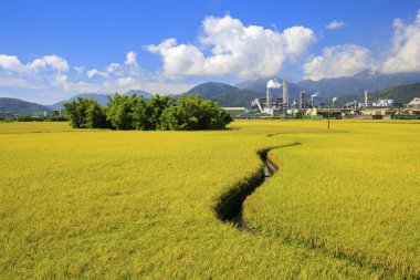 uzak tepeler ve bulutlu gökyüzü ile yemyeşil alan