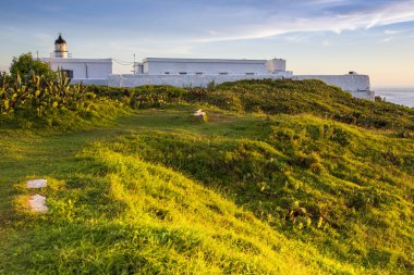 parlak güneş ışığı ile yeşil tepeler