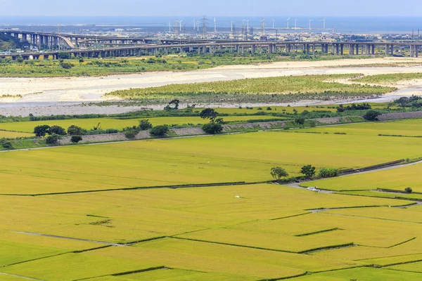 Landstraße Bei Saftig Grünen Landwirtschaftlichen Feldern — Stockfoto