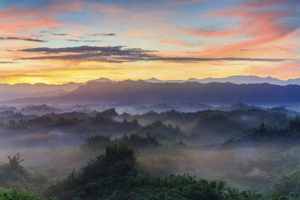 Árvores Florestais Com Nuvens Baixas Luz Pôr Sol — Fotografia de Stock