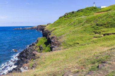 okyanus kıyısında yeşil kaplı kayalıklar