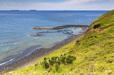 okyanus kıyısında yeşil kaplı kayalıklar