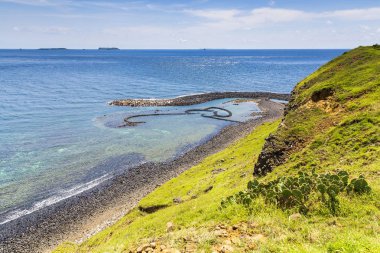 okyanus kıyısında yeşil kaplı kayalıklar