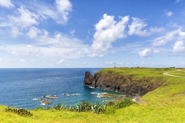 okyanus kıyısında yeşil kaplı kayalıklar