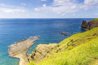 okyanus kıyısında yeşil kaplı kayalıklar