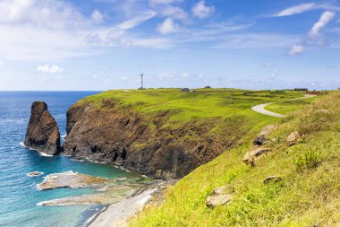 okyanus kıyısında yeşil kaplı kayalıklar