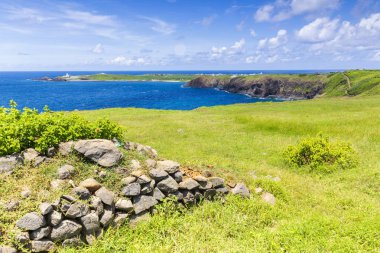 okyanus kıyısında yeşil kaplı kayalıklar