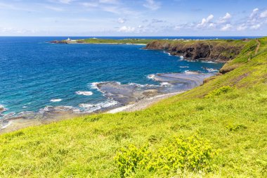 okyanus kıyısında yeşil kaplı kayalıklar