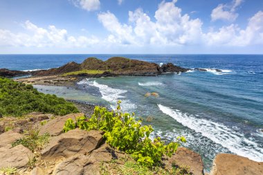 bulutlu gökyüzü altında okyanus kıyısında kayalar ve yeşillik
