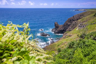 okyanus kıyısında yeşil kaplı kayalıklar
