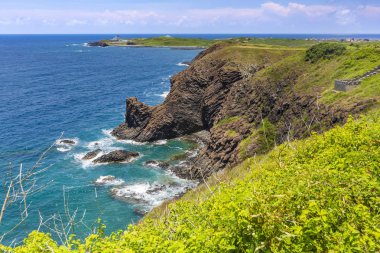 okyanus kıyısında yeşil kaplı kayalıklar