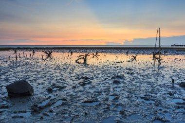 kayalar ve güzel günbatımı gökyüzü ile okyanus kıyısı 