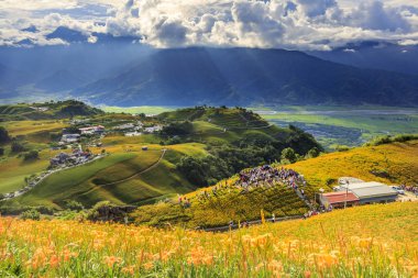 dağlık arazide çiçek açan portakal çiçekleri ile yemyeşil alanlar