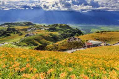 dağlık arazide çiçek açan portakal çiçekleri ile yemyeşil alanlar
