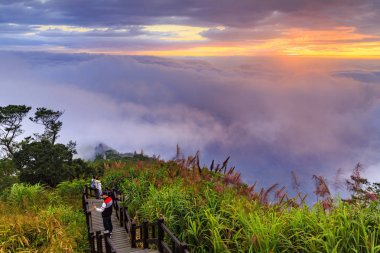 gün batımı bulutlu gökyüzü ile yeşil tepede ahşap merdiven üzerinde insanlar