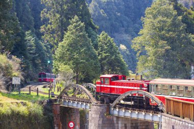 dağlık sahnede köprüüzerinde hareket kırmızı tren