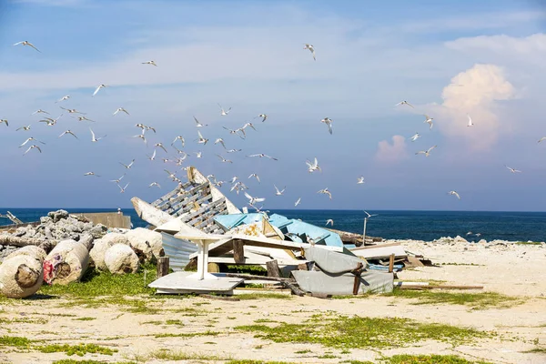 Gestapelte Boote Strand Mit Fliegenden Seeschwalben Sonnenlicht — Stockfoto