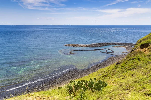 okyanus kıyısında yeşil kaplı kayalıklar