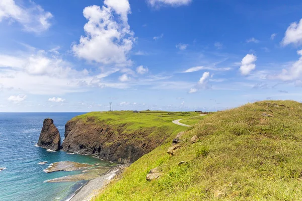 Gröna Täckta Klippor Vid Ocean Shore — Stockfoto