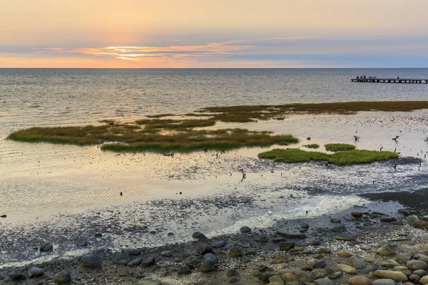 Океанський Берег Скелями Красивим Небом Заходу Сонця — стокове фото