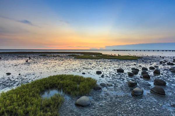 Meeresküste Mit Felsen Und Gras Unter Sonnenuntergang — Stockfoto