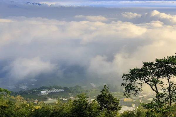 緑豊かな雲に覆われた谷を登る — ストック写真
