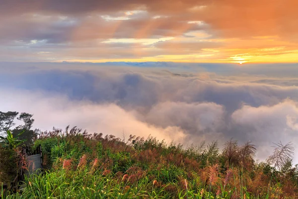 Colina Com Flores Silvestres Grama Com Céu Nublado Por Sol — Fotografia de Stock