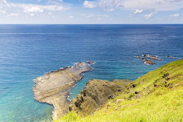 Gröna Täckta Klippor Vid Ocean Shore Stockbild