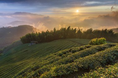 akşam güneş ışığında tarım alanları ile dağlık manzara