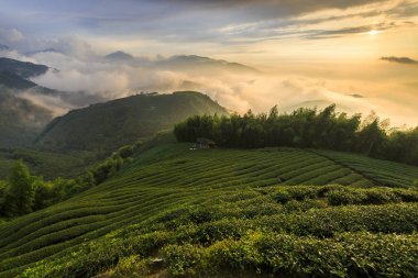 akşam güneş ışığında tarım alanları ile dağlık manzara