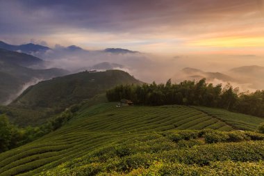 akşam güneş ışığında tarım alanları ile dağlık manzara