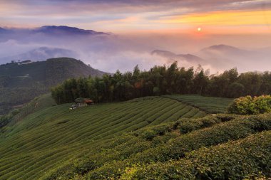 akşam güneş ışığında tarım alanları ile dağlık manzara