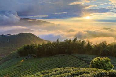 akşam güneş ışığında tarım alanları ile dağlık manzara