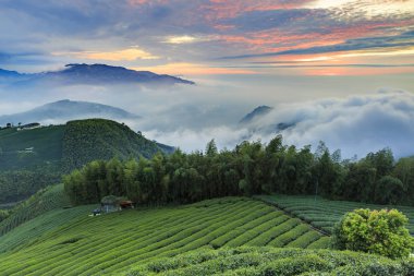 akşam güneş ışığında tarım alanları ile dağlık manzara