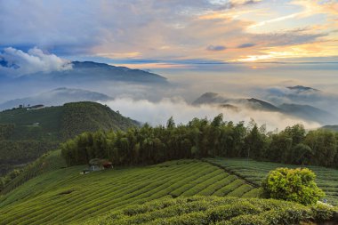 akşam güneş ışığında tarım alanları ile dağlık manzara