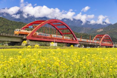 çiçeklenme alanı üzerinde hareket eden tren ile köprü