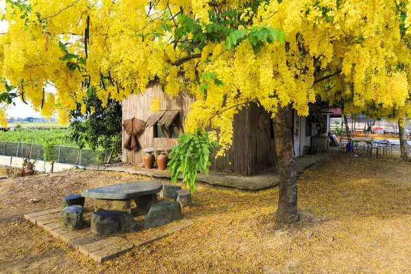 Cena Rural Com Cabana Mesa Pedra Cadeiras Com Árvore Amarela — Fotografia de Stock