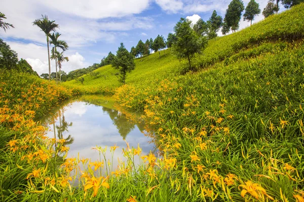 Natural Pool Surrounded Lush Greenery Blooming Flowers — Stock Photo, Image