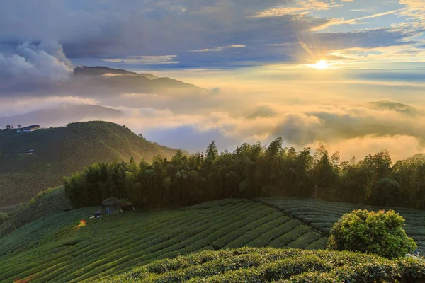 akşam güneş ışığında tarım alanları ile dağlık manzara