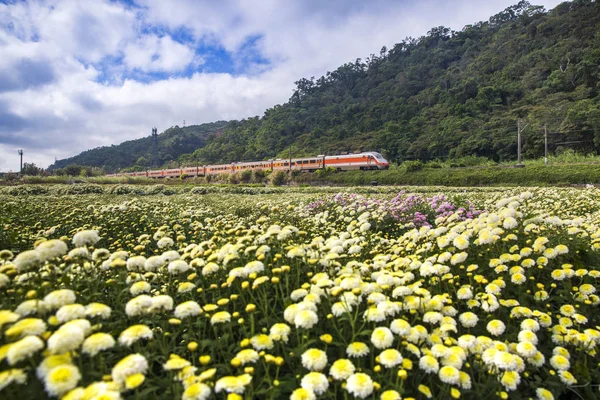 场上盛开的花朵 背景是移动的火车 — 图库照片