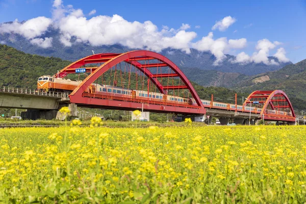 Puente Con Tren Movimiento Sobre Campo Floreciente —  Fotos de Stock