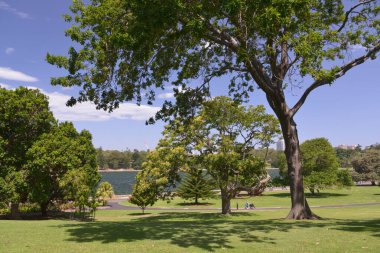 Royal Botanik Bahçesi, Avustralya