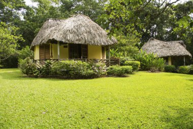 Tropikal ormandaki küçük kulübeler