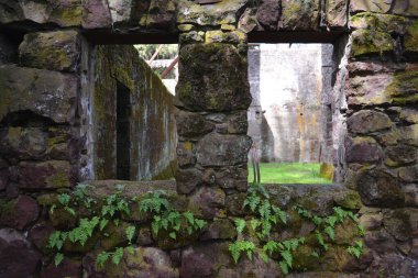Jack London çiftliğinin eski kalıntıları.