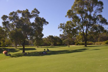 Şehir Parkı yeşil ağaçlar ile