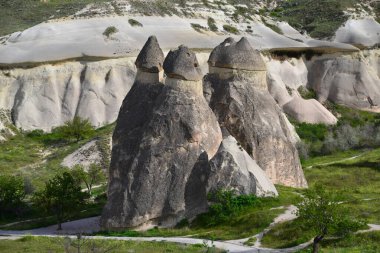 Kapadokya 'nın doğal manzarası, hindi