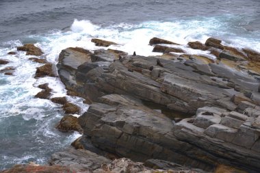 Gündüz deniz kıyısı 