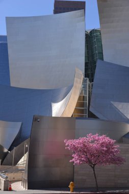 Walt Disney konser salonu dış görünüşü, Birleşik Devletler